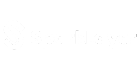 B2BEA-Sparklayer-White-Logo