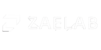B2BEA-Zaelab-White-Logo